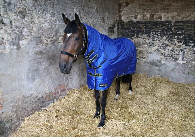 StormX Original 100g Combo Stable Rug in Blue